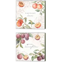 Framed 'In the Orchard 2 Piece Canvas Print Set' border=