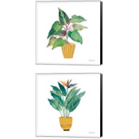 Framed Potted Jewels 2 Piece Canvas Print Set
