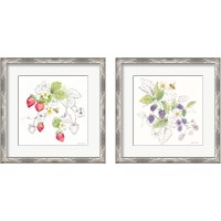 Framed 'Berries and Bees 2 Piece Framed Art Print Set' border=