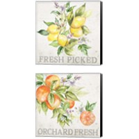 Framed 'Lemon Grove 2 Piece Canvas Print Set' border=