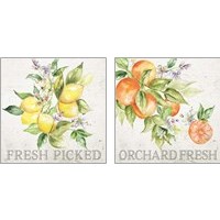 Framed 'Lemon Grove 2 Piece Art Print Set' border=