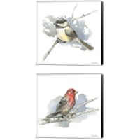 Framed 'Birds & Branches 2 Piece Canvas Print Set' border=
