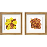 Framed Floral Pop 2 Piece Framed Art Print Set