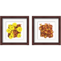 Framed Floral Pop 2 Piece Framed Art Print Set