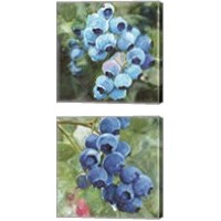 Framed 'Blueberries  2 Piece Canvas Print Set' border=
