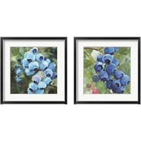 Framed 'Blueberries  2 Piece Framed Art Print Set' border=