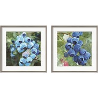 Framed 'Blueberries  2 Piece Framed Art Print Set' border=