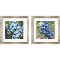 Framed 'Blueberries  2 Piece Framed Art Print Set' border=