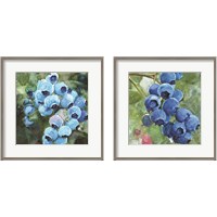Framed 'Blueberries  2 Piece Framed Art Print Set' border=