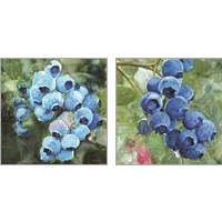 Framed 'Blueberries  2 Piece Art Print Set' border=