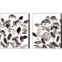 Framed 'Simple Black Poppies 2 Piece Canvas Print Set' border=