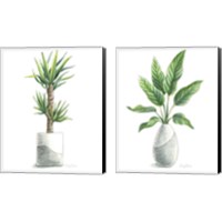 Framed 'Potted Exotics 2 Piece Canvas Print Set' border=