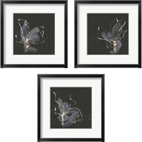 Framed Modern Flower 3 Piece Framed Art Print Set
