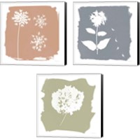 Framed 'Nature by the Lake Flowers 3 Piece Canvas Print Set' border=