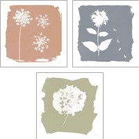 Framed 'Nature by the Lake Flowers 3 Piece Art Print Set' border=