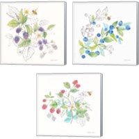 Framed 'Berries and Bees 3 Piece Canvas Print Set' border=
