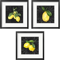 Framed 'Live with Zest  3 Piece Framed Art Print Set' border=