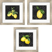 Framed 'Live with Zest  3 Piece Framed Art Print Set' border=