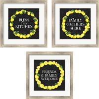 Framed 'Live with Zest 3 Piece Framed Art Print Set' border=