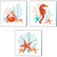 Framed 'Coral Aqua 3 Piece Canvas Print Set' border=