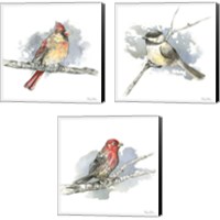 Framed 'Birds & Branches 3 Piece Canvas Print Set' border=