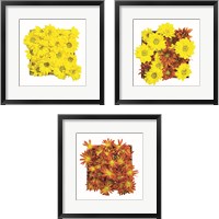 Framed Floral Pop 3 Piece Framed Art Print Set