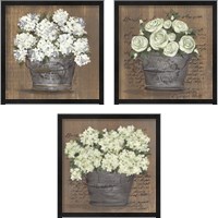 Framed 'Heavenly Floral 3 Piece Framed Art Print Set' border=