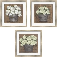 Framed 'Heavenly Floral 3 Piece Framed Art Print Set' border=