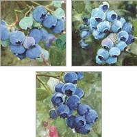Framed 'Blueberries  3 Piece Art Print Set' border=