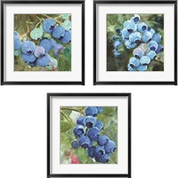 Framed 'Blueberries  3 Piece Framed Art Print Set' border=