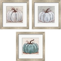 Framed 'Pumpkin Close-Up 3 Piece Framed Art Print Set' border=