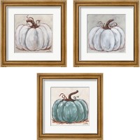Framed 'Pumpkin Close-Up 3 Piece Framed Art Print Set' border=