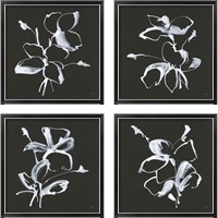 Framed 'Wildflowers 4 Piece Framed Art Print Set' border=