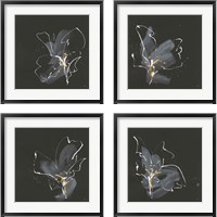 Framed Modern Flower 4 Piece Framed Art Print Set
