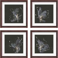 Framed 'Modern Flower 4 Piece Framed Art Print Set' border=