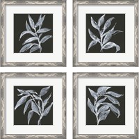 Framed 'Branch  4 Piece Framed Art Print Set' border=