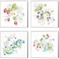 Framed 'Berries and Bees 4 Piece Canvas Print Set' border=