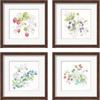 Framed 'Berries and Bees 4 Piece Framed Art Print Set' border=