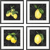 Framed 'Live with Zest  4 Piece Framed Art Print Set' border=