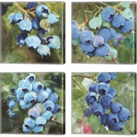 Framed 'Blueberries  4 Piece Canvas Print Set' border=