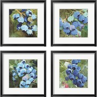 Framed Blueberries  4 Piece Framed Art Print Set