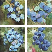Framed 'Blueberries  4 Piece Art Print Set' border=