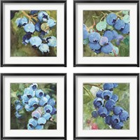 Framed 'Blueberries  4 Piece Framed Art Print Set' border=