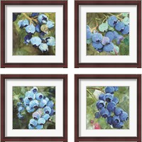 Framed 'Blueberries  4 Piece Framed Art Print Set' border=