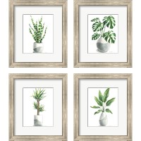 Framed 'Potted Exotics 4 Piece Framed Art Print Set' border=