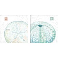 Framed Delicate Sea 2 Piece Art Print Set