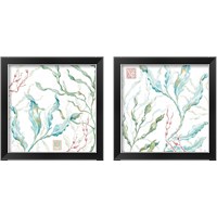 Framed Delicate Sea 2 Piece Framed Art Print Set