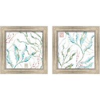 Framed 'Delicate Sea 2 Piece Framed Art Print Set' border=