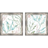 Framed Delicate Sea 2 Piece Framed Art Print Set