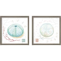 Framed Delicate Sea 2 Piece Framed Art Print Set